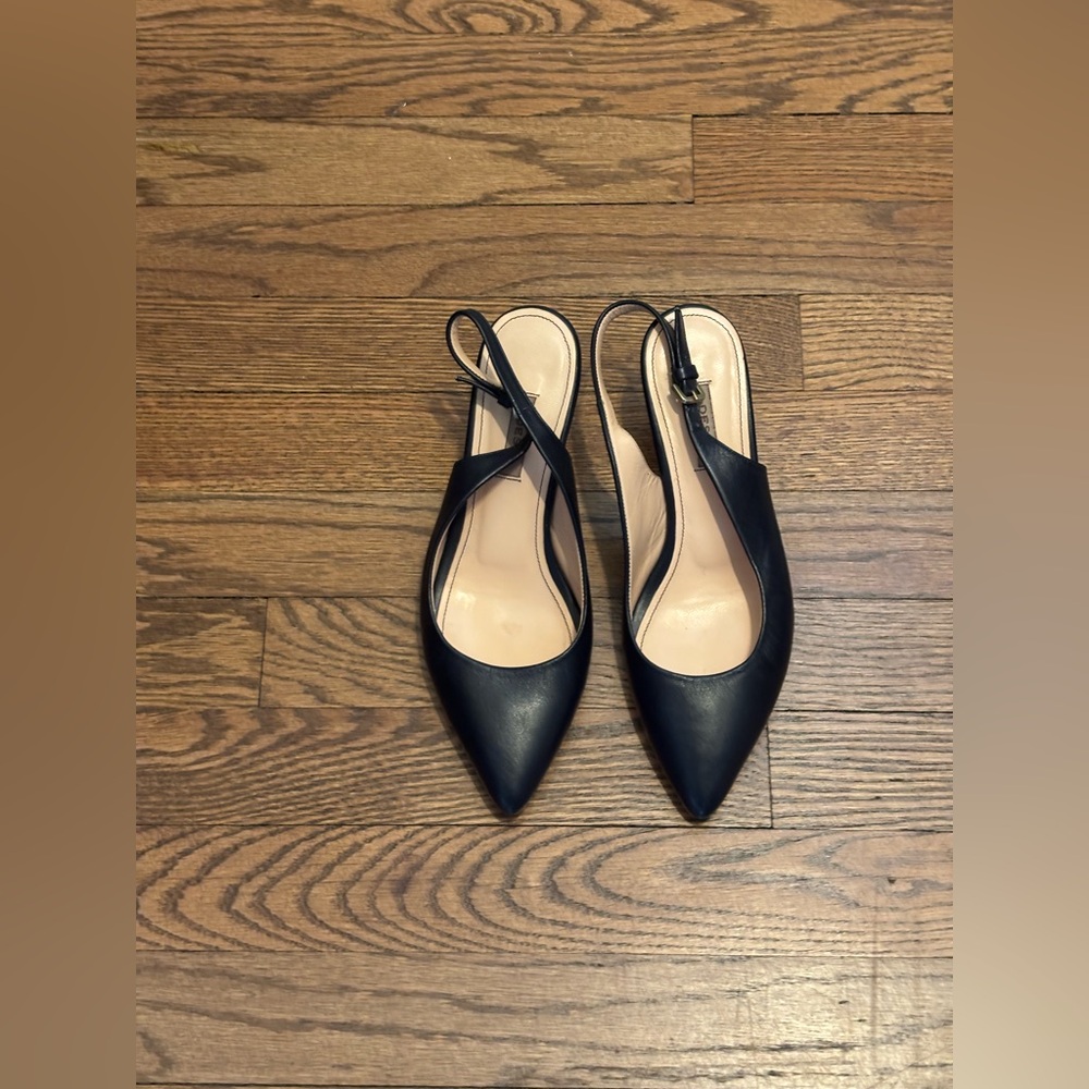 Black Heeled Slingback Shoes with Pointed Toe